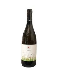 Migliosi Sauvignon Blanc 2021 13,5° cl.75 Umbria