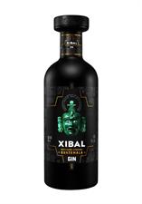 Xibal Gin 45° cl.70