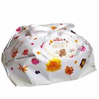 Albertengo Colomba Delice Kg.1 Pandorata Incarto
