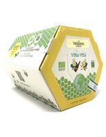 Orsogna BagInBox Vola Volè Trebbiano D'Abruzzo 12,5° 3L Biologico