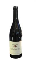 Casale Vagli Planoianni Rosso 2021 14° cl.75 Abruzzo
