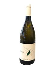 Gentile Bianco Particella 564 12° cl.75 Ofena L'Aquila Abruzzo