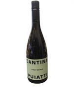 Puiatti Pinot Grigio DOC 2024 cl.75 Friuli Venezia Giulia
