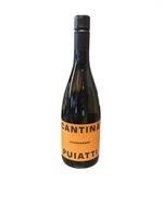 Puiatti Chardonnay DOC 2024 cl.75 Friuli Venezia Giulia