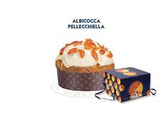 Mennella Panettone Albicocca Pellecchiella Kg.1