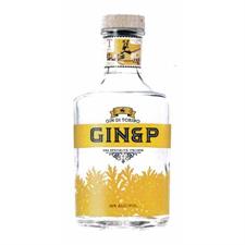Turin Gin&P 42° cl.70 Italia