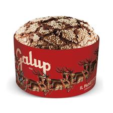 Galup Panettone Gran Galup kg.1 + Tombola Latta