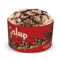 Galup Panettone Gran Galup kg.1 + Tombola Latta
