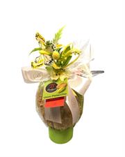 Bodrato Uovo gr.430 Pistacchio