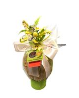 Bodrato Uovo gr.430 Pistacchio