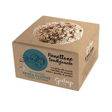 Galup Panettone Tradizionale Gluten Free gr.400