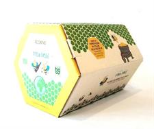 Orsogna BagInBox Vola Volè Pecorino IGT 13° Litri 3 Biologico