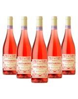 Pasetti Testarossa Cassa 6 Bottiglie Rosato Terre Aquilane cl.450