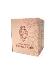 Filomusi Guelfi BagInBox Rosso Litri 5