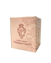 Filomusi Guelfi BagInBox Rosso Litri 5