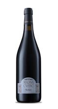 Marina Cvetic Merlot IGT Terre Aquilane 2017 14,5° cl.75