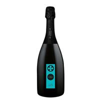 Casere Azienda Agricola Magnum Spumante Millesimato Extra Dry cl.150