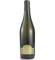 Marina Cvetic Chardonnay IGP Colline Teatine 2021 14° cl.75 Abruzzo