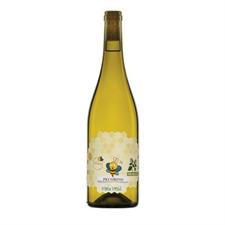 Orsogna Vola Vole' Pecorino Terre di chieti 13° cl.75 Bio Abruzzo