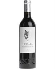 Podere Castorani Lupaia Montepulciano d'Abruzzo 13,5° cl.75